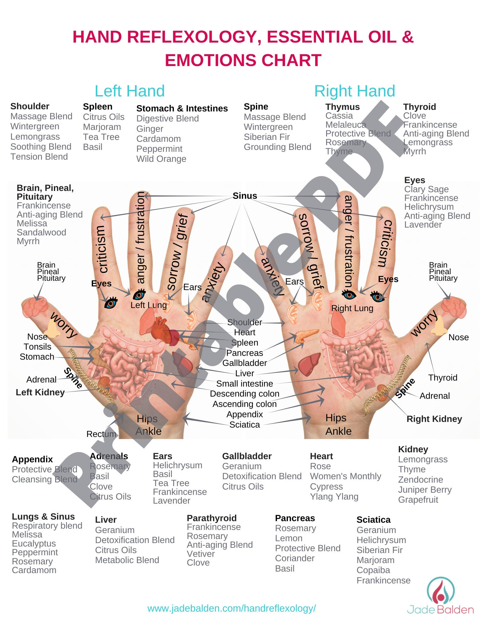 Hand Reflexology Chart Pdf Printable - Etsy in Reflexology Hand Chart Printable