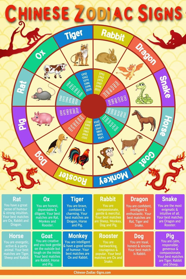 Incredible Chinese Zodiac Traits And Characteristics Printable intended for Chinese Zodiac Chart Printable