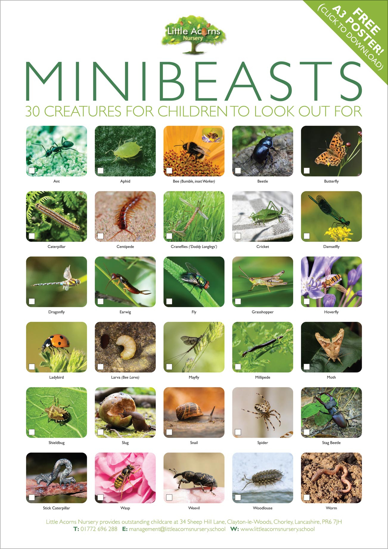 Let&amp;#039;S Find Minibeasts! A Nature Activity For Kids ( With Free Poster!) with regard to Free Minibeast Printables