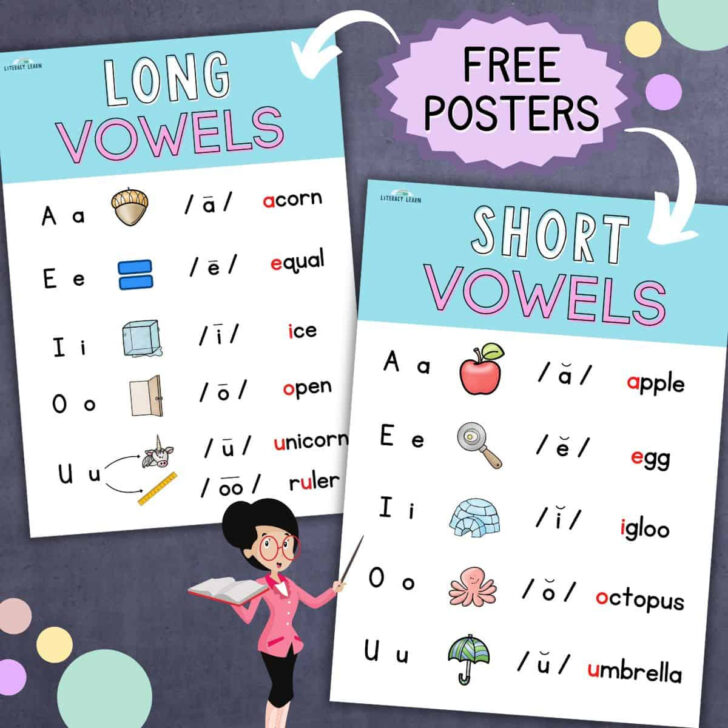 Vowels and Consonants Anchor Chart Printable