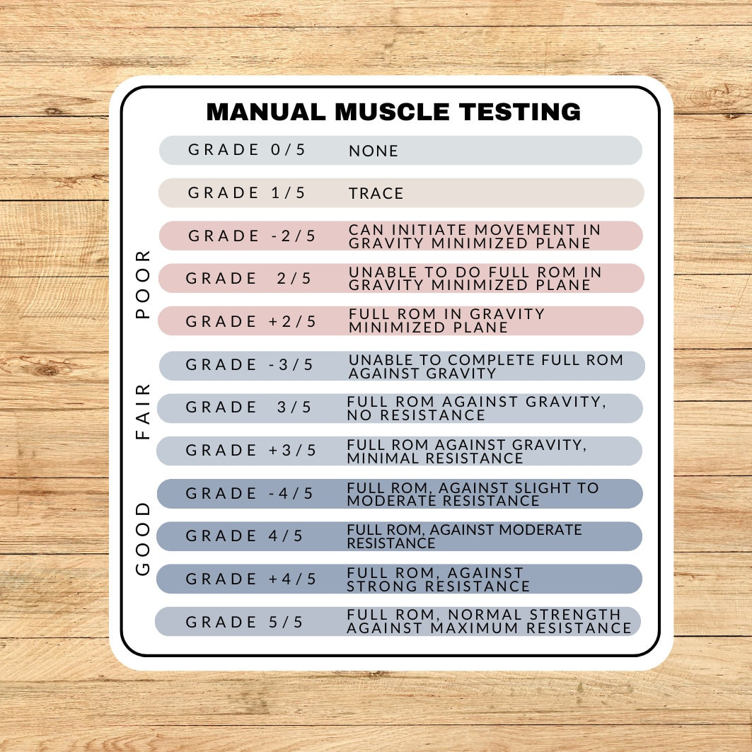 Manual Muscle Testing Sticker, Manual Muscle Testing Reference throughout Manual Muscle Testing Chart Printable