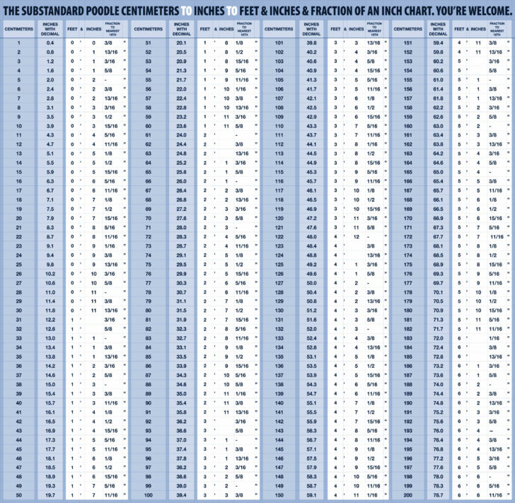 Cm to Inches Chart Printable