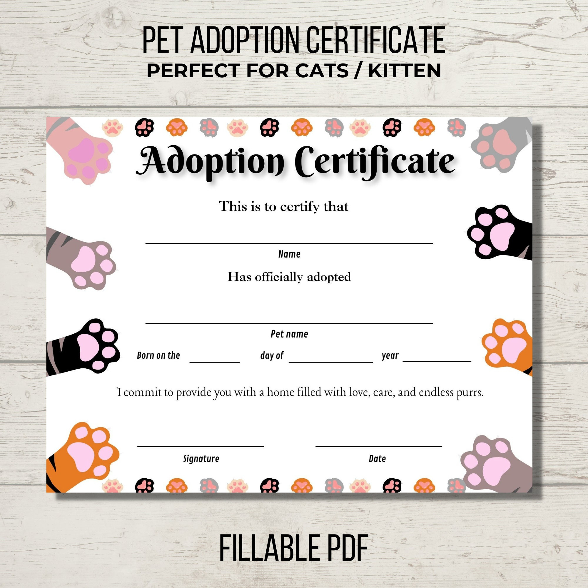 Pet Adoption Certificate, Cat Adoption Party, Kitten Adoption in Free Printable Cat Adoption Certificate