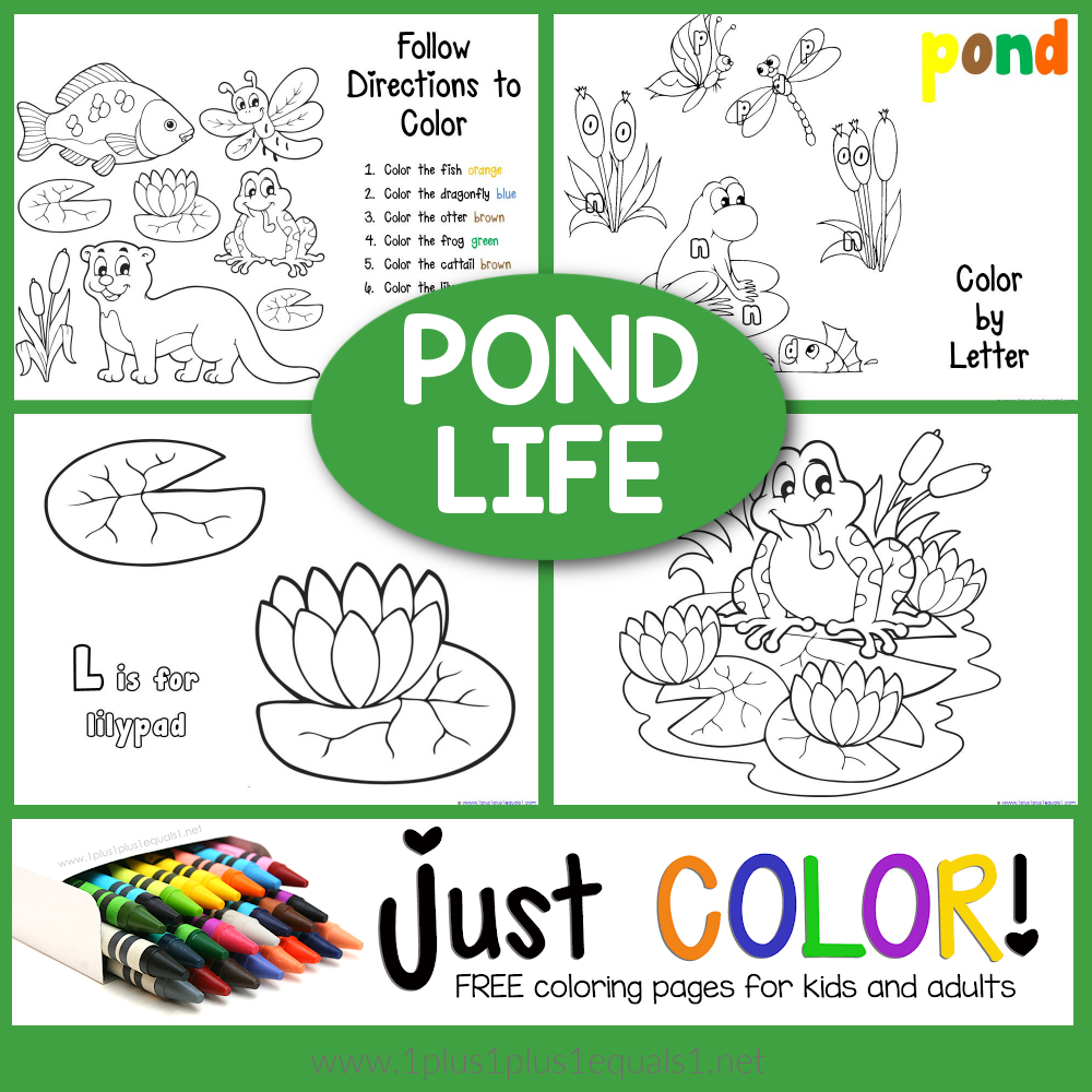 Pond Coloring Printables - 1+1+1=1 throughout Free Pond Life Printables