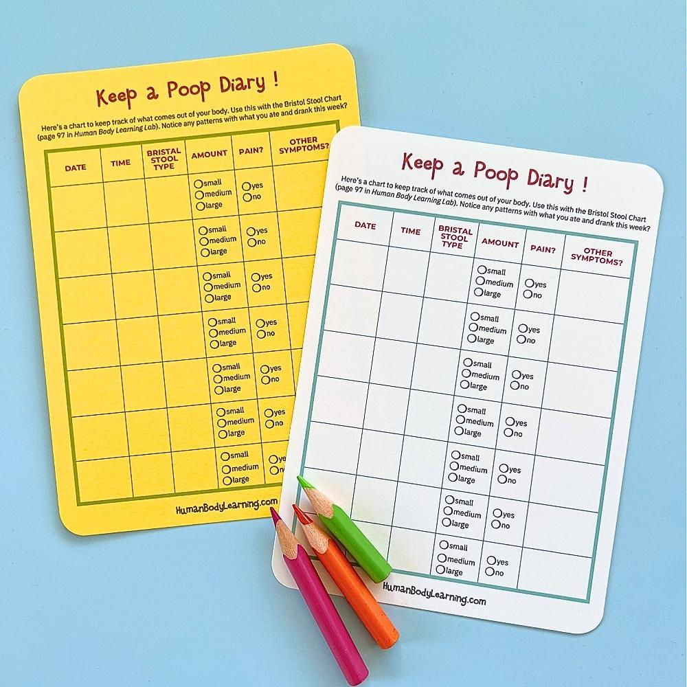 Printable Poop Diary And Bristol Stool Chart For Kids in Poop Chart Printable