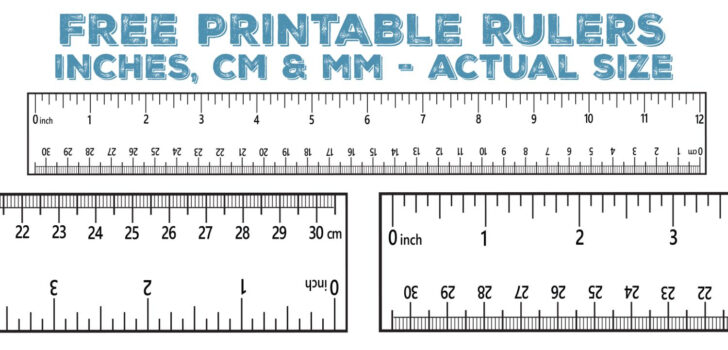 Free Printable 12 Inch Ruler