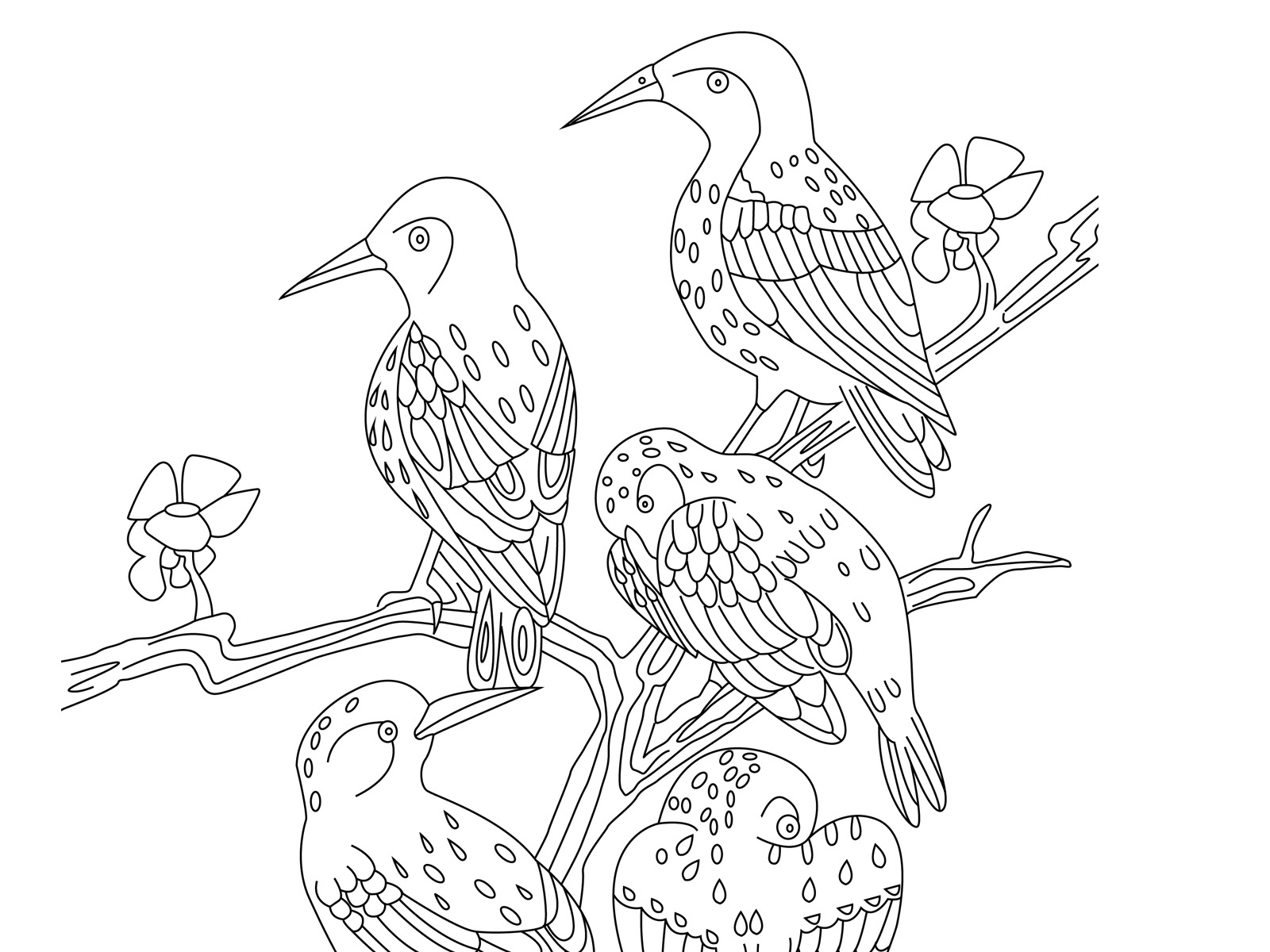 Spot The Differences, Five Birds - Marias Place throughout Free Printable Spot The Difference For Elderly