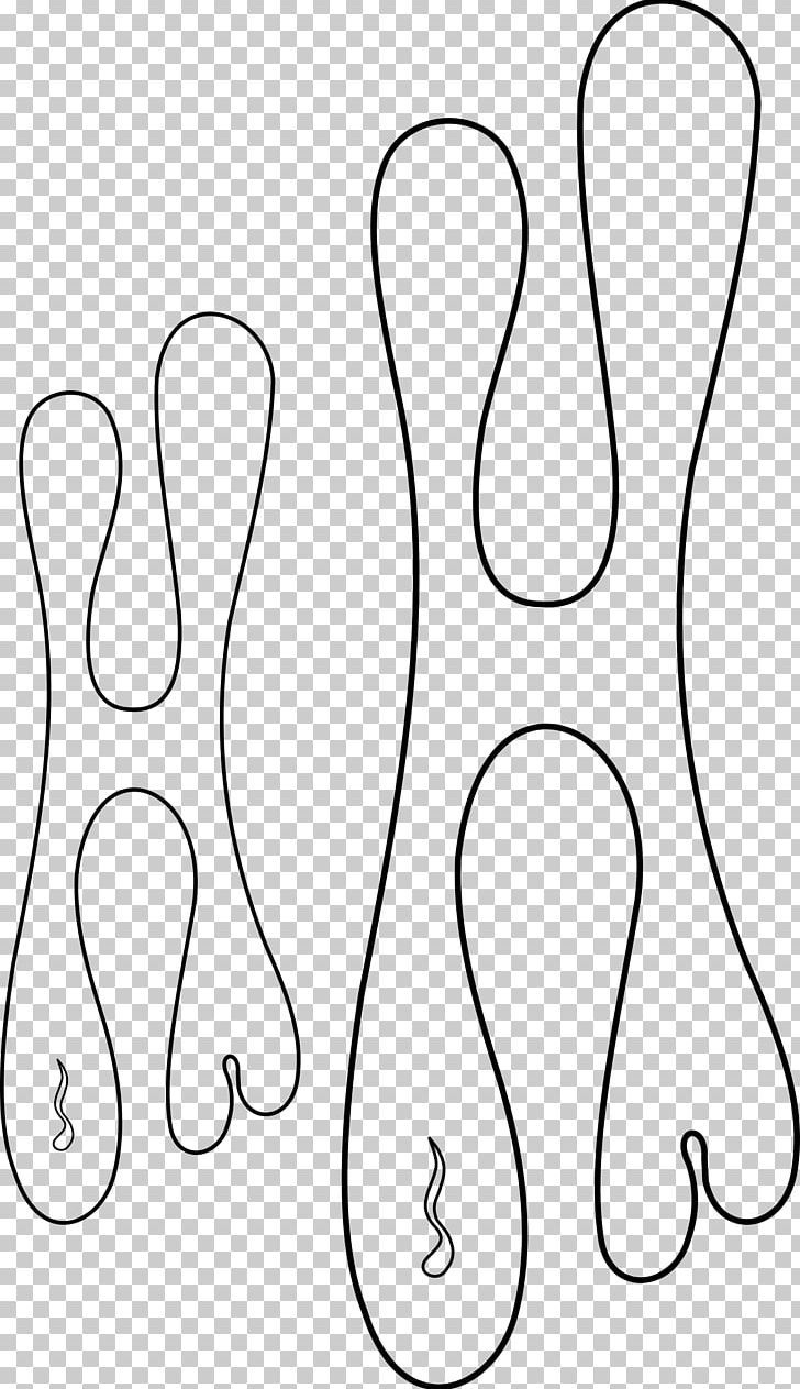 Stencil Airbrush Flame Png - Free Download inside Free Printable Airbrush Templates