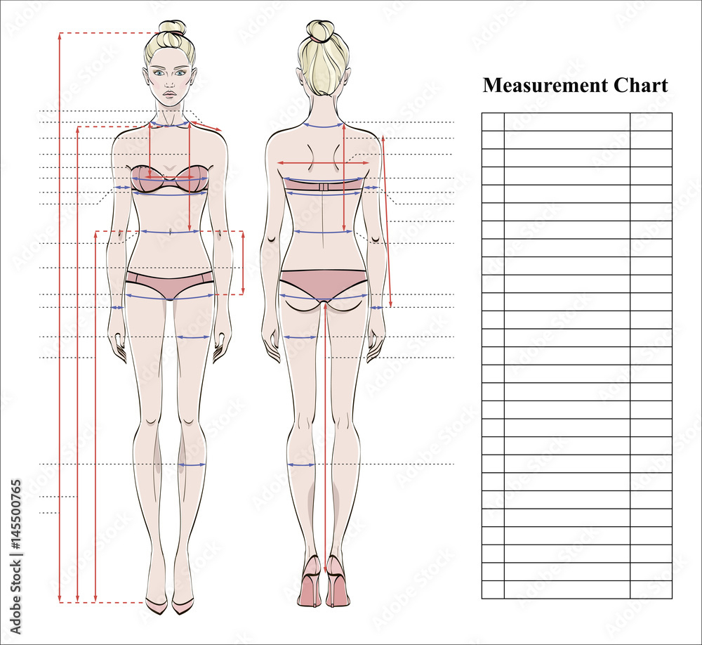 Stock-Vektorgrafik „Woman Body Measurement Chart. Scheme For pertaining to Body Chart Printable