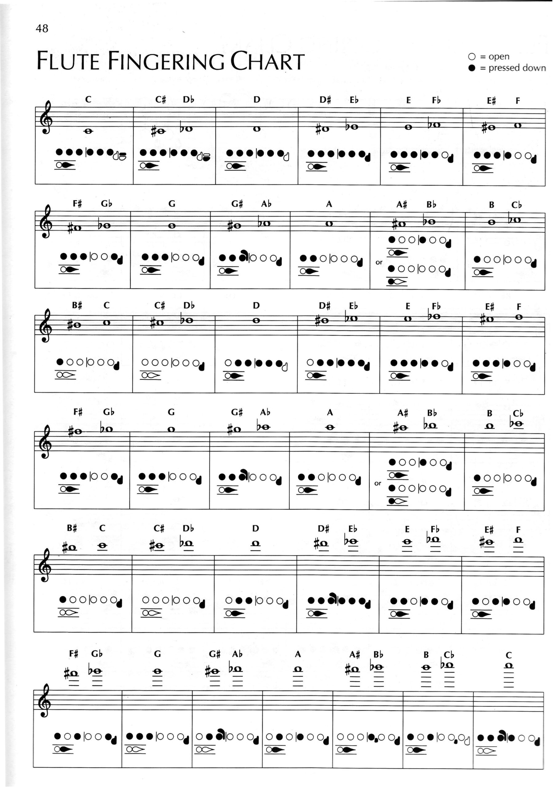 Student Resources - Career Academy Instrumental Music Department regarding Flute Finger Chart Printable
