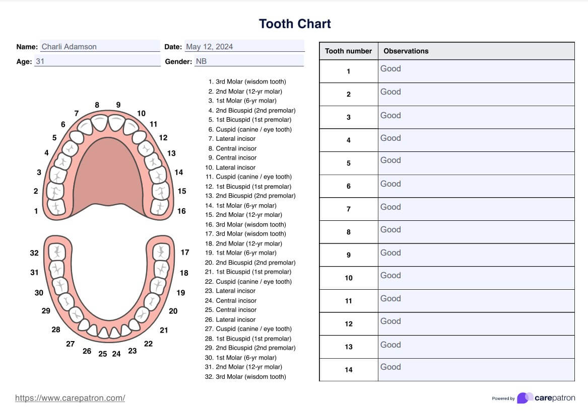 Tooth Chart &amp;amp; Example | Free Pdf Download for Dental Assistant Tooth Chart Printable