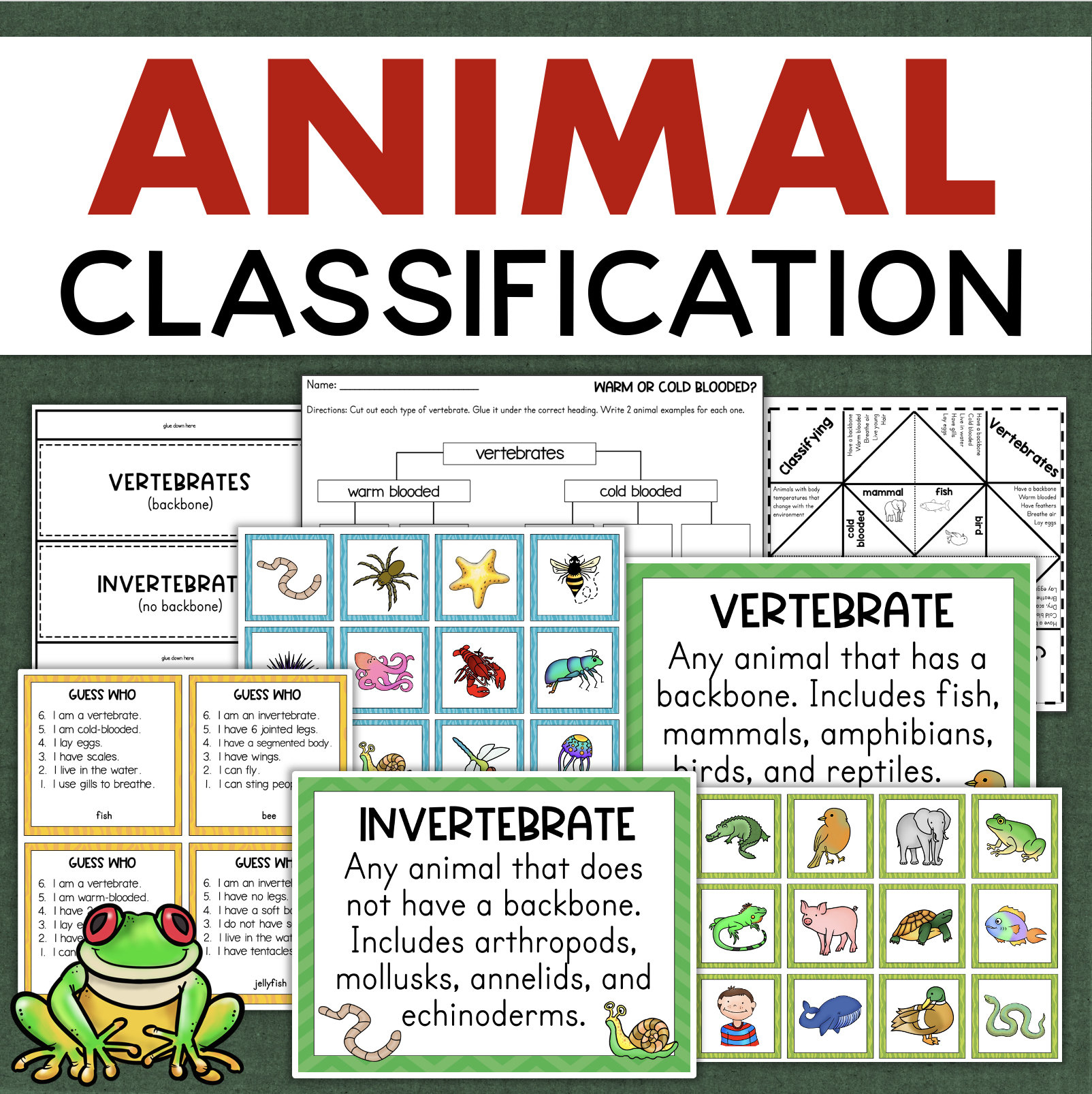 Vertebrates And Invertebrates Animal Classification Science in Animal Classification Chart Printable