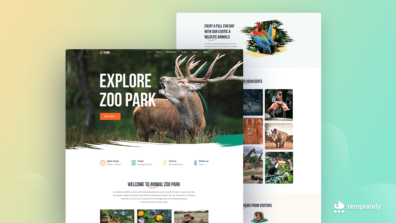 Video Placeholder with regard to Free Safari Website Templates