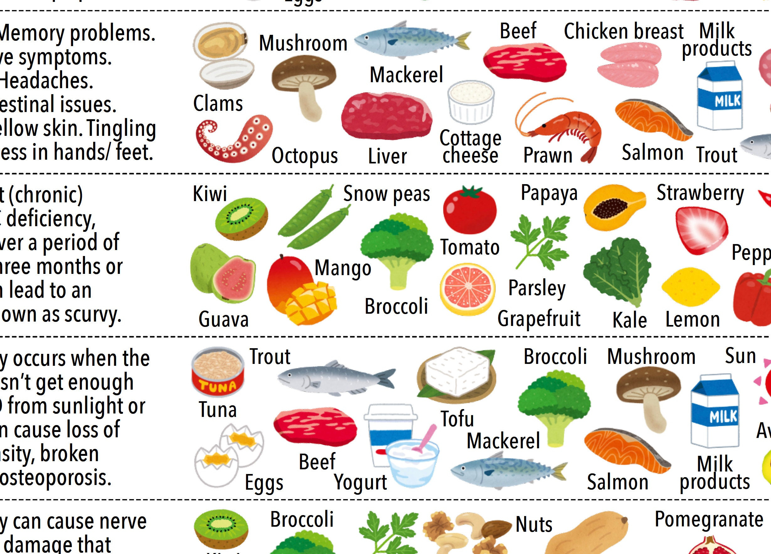 Vitamin Foods Referenztabelle, Printable / Instant Download Pdf with Vitamin Chart Printable