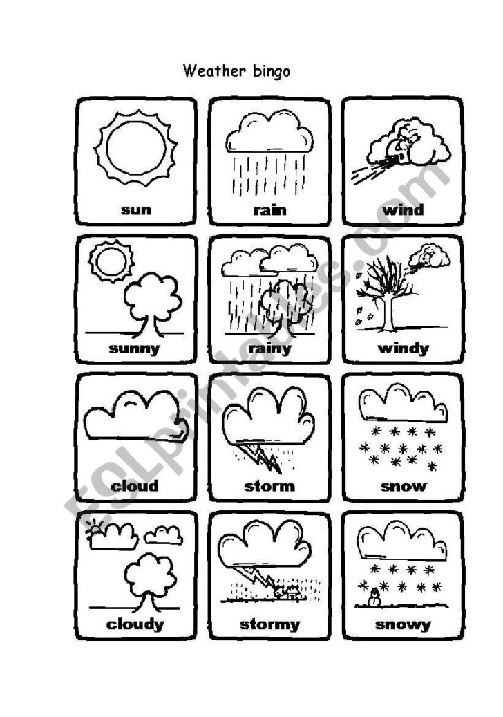 Weather Bingo Free Printable