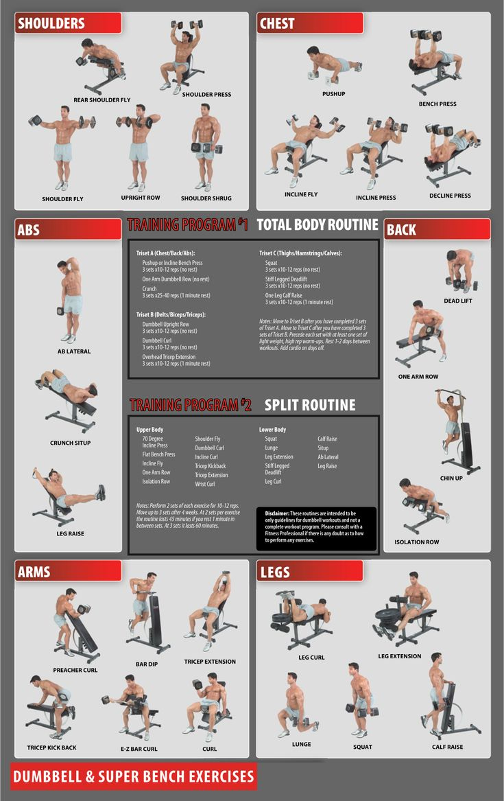 Workout Charts Exercises - 10 Free Pdf Printables | Printablee intended for Total Gym Exercise Chart Printable