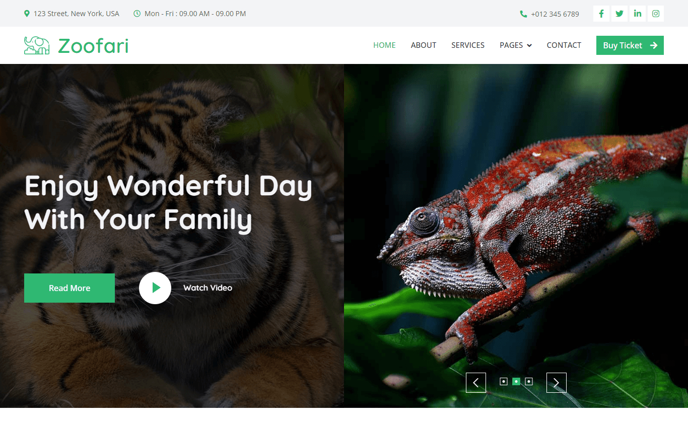 Zoofari - Free Responsive Bootstrap 5 Html5 Wildlife Website Template pertaining to Free Safari Website Templates