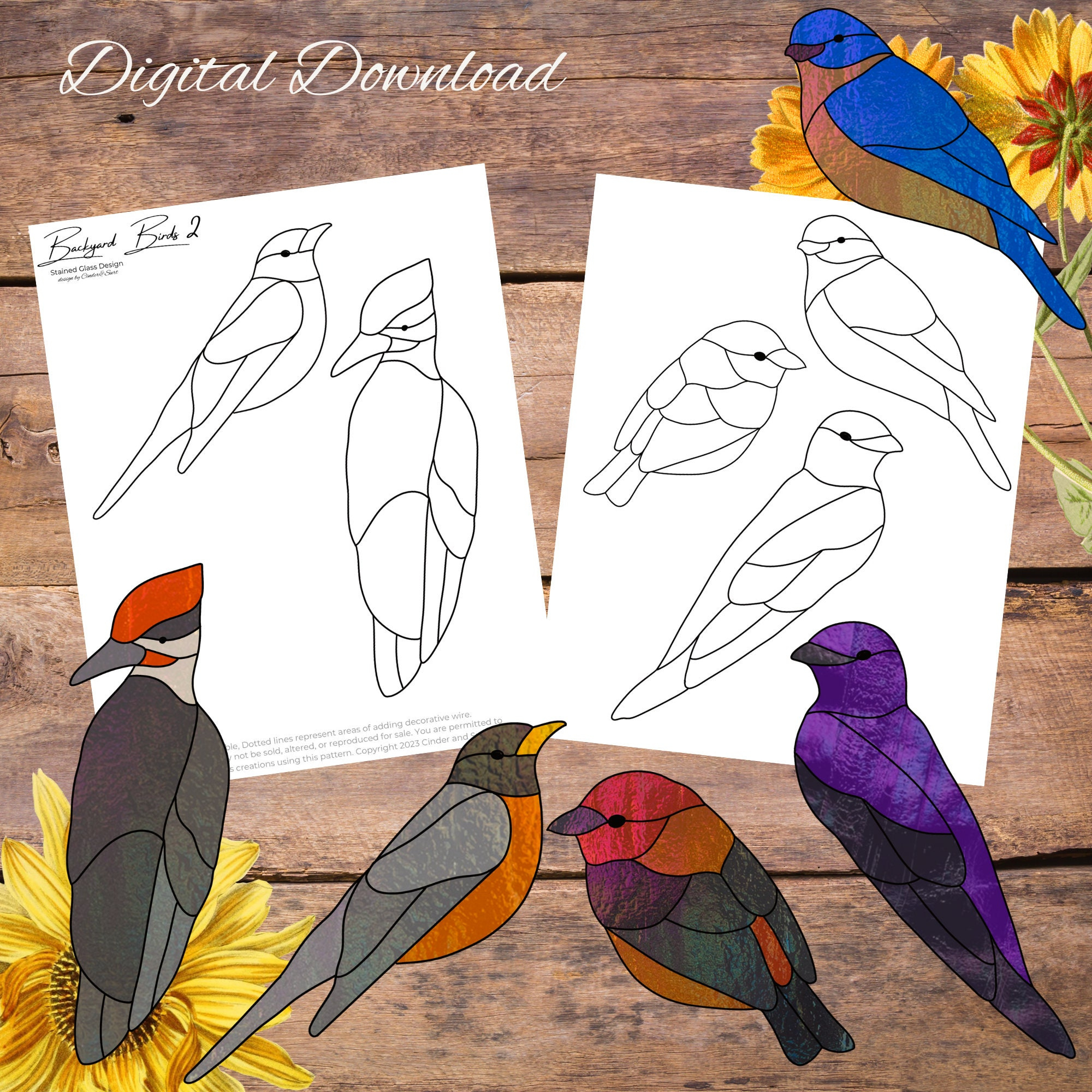 Backyard Birds 2, Simple Easy Bird Glass Suncatcher, Robin Bird intended for Free Printable Stained Glass Bird Patterns