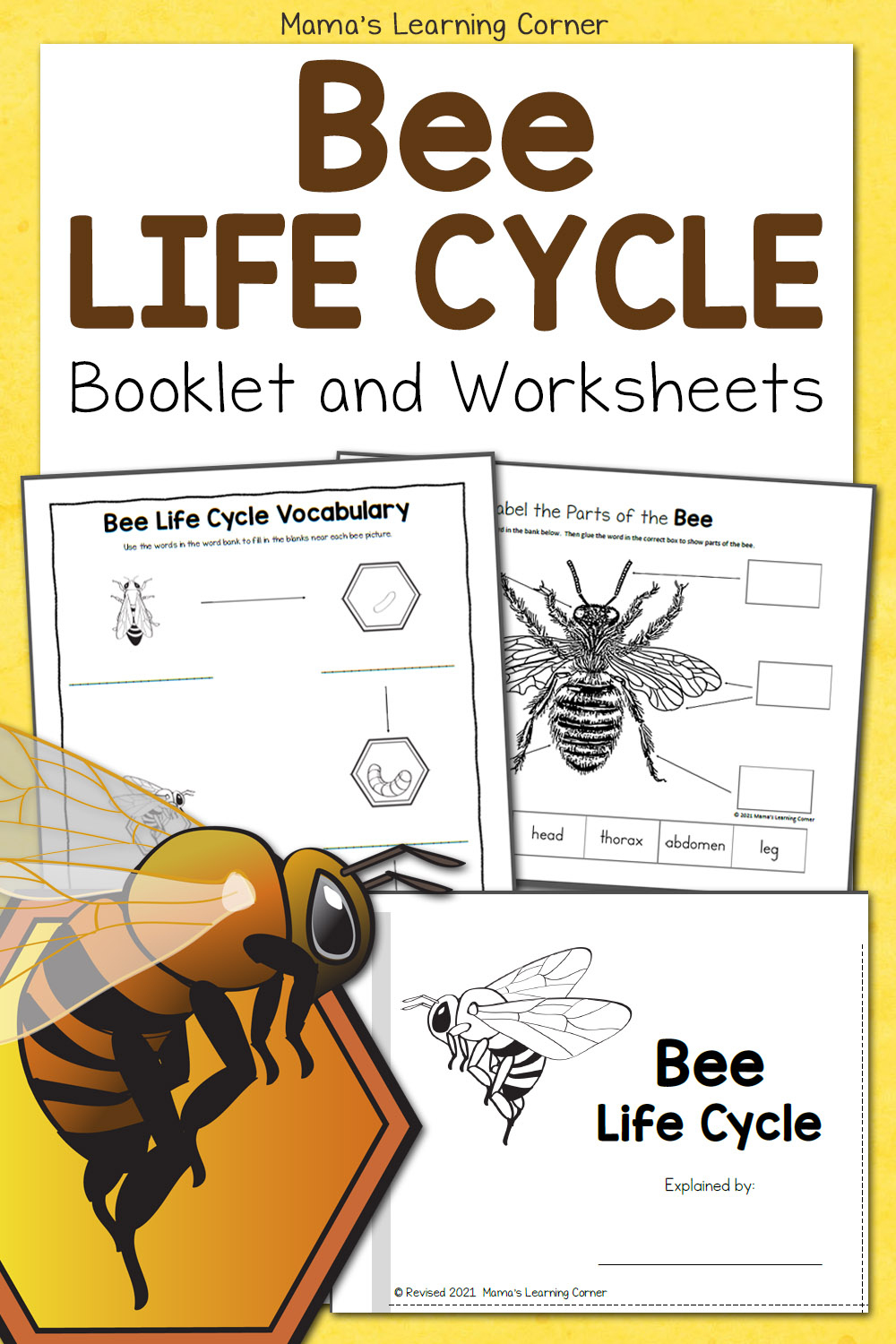 Bee Life Cycle Worksheets - Mamas Learning Corner within Free Printable Bee Life Cycle Worksheets