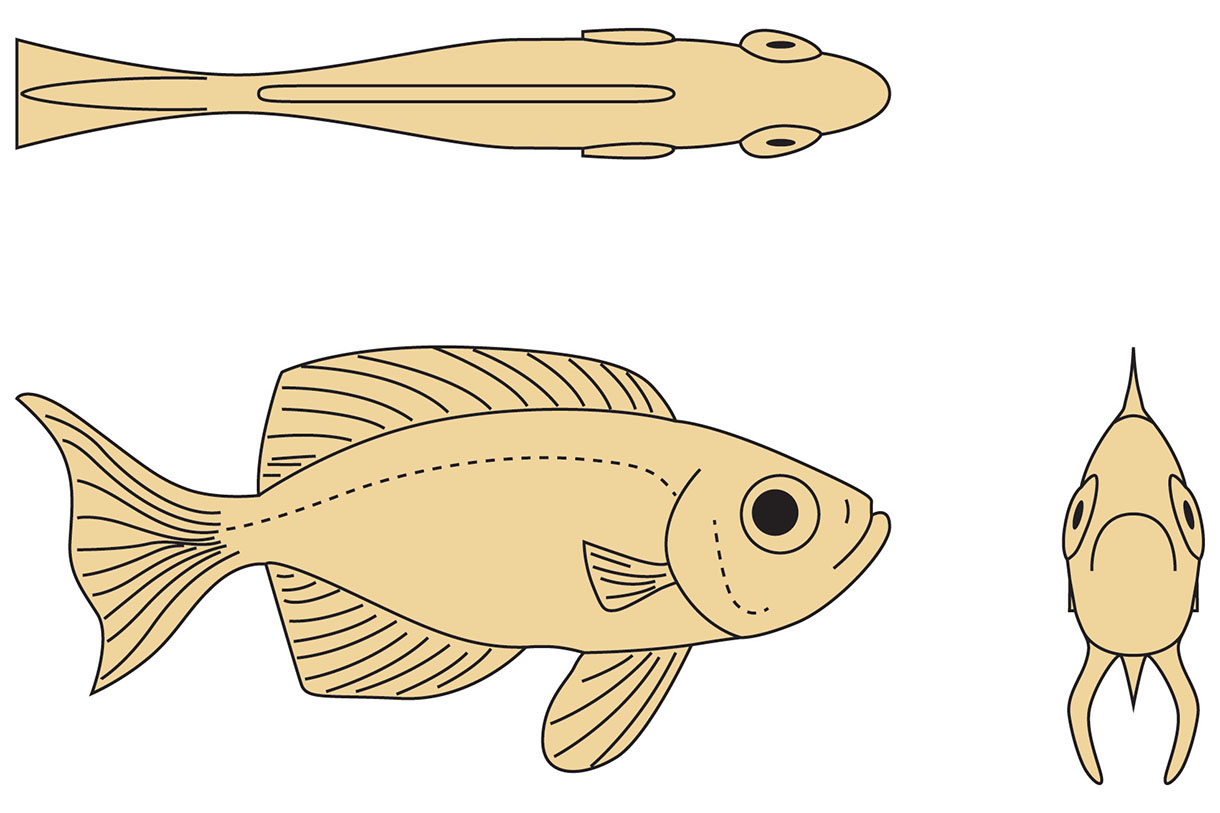 Beginner&amp;#039;S Knife-Carving Guide: Lunar-Tailed Bigeye Fish throughout Printable Fish Wood Carving Patterns
