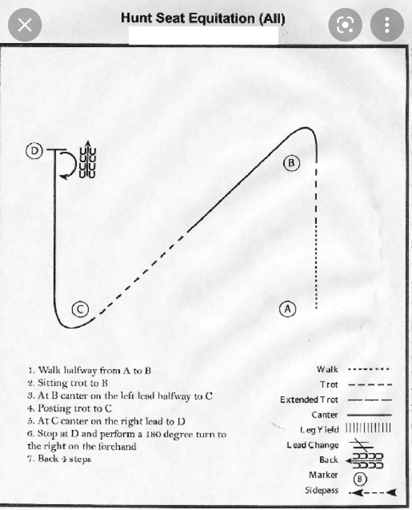 Cotton Country Patterns for Horse Show Patterns Printable