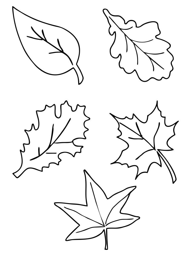 Fall Leaf Printables - Printable Party Favors with regard to Free Printable Pictures Of Leaves