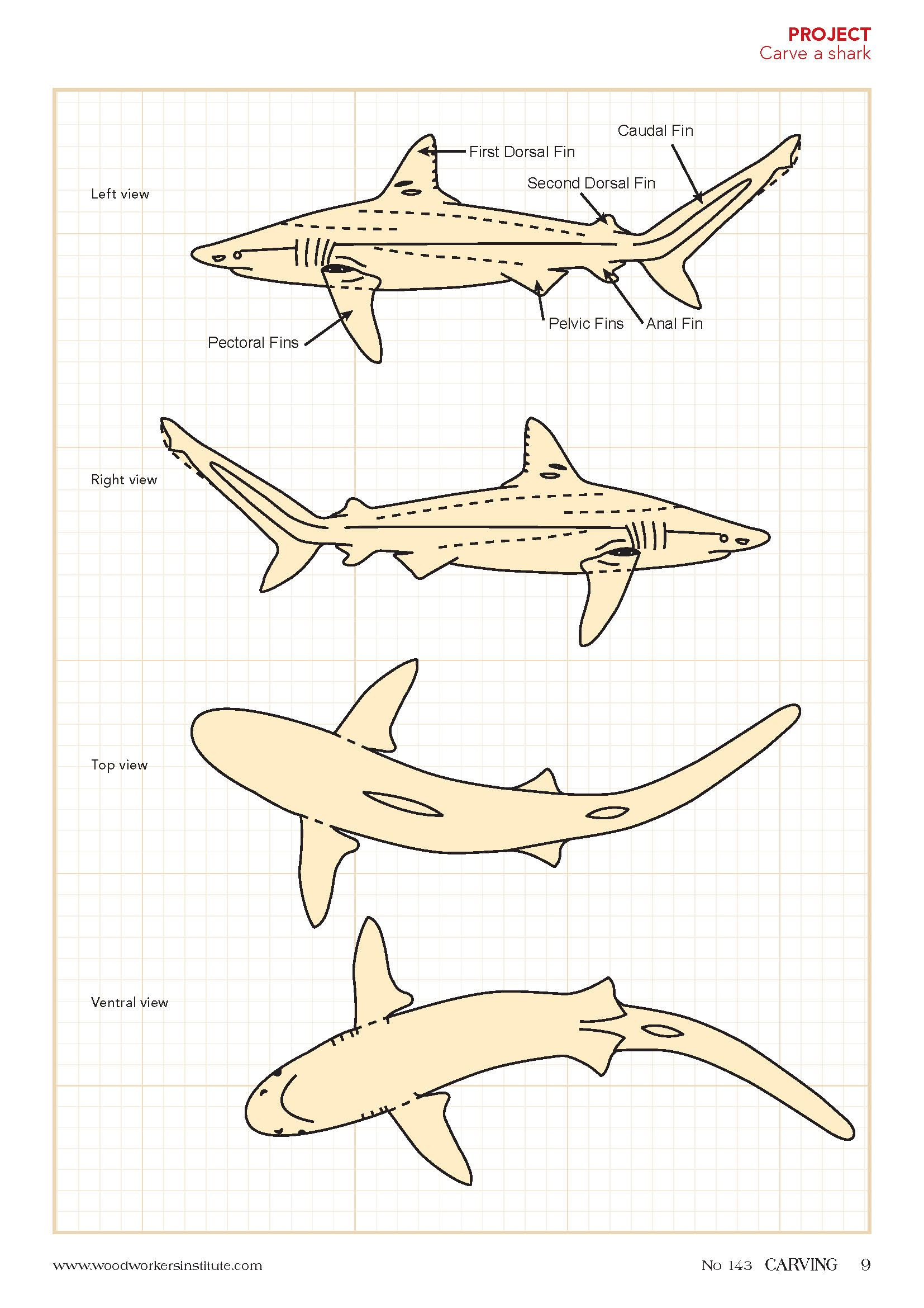 Fish Wood Carving Patterns with Printable Fish Wood Carving Patterns