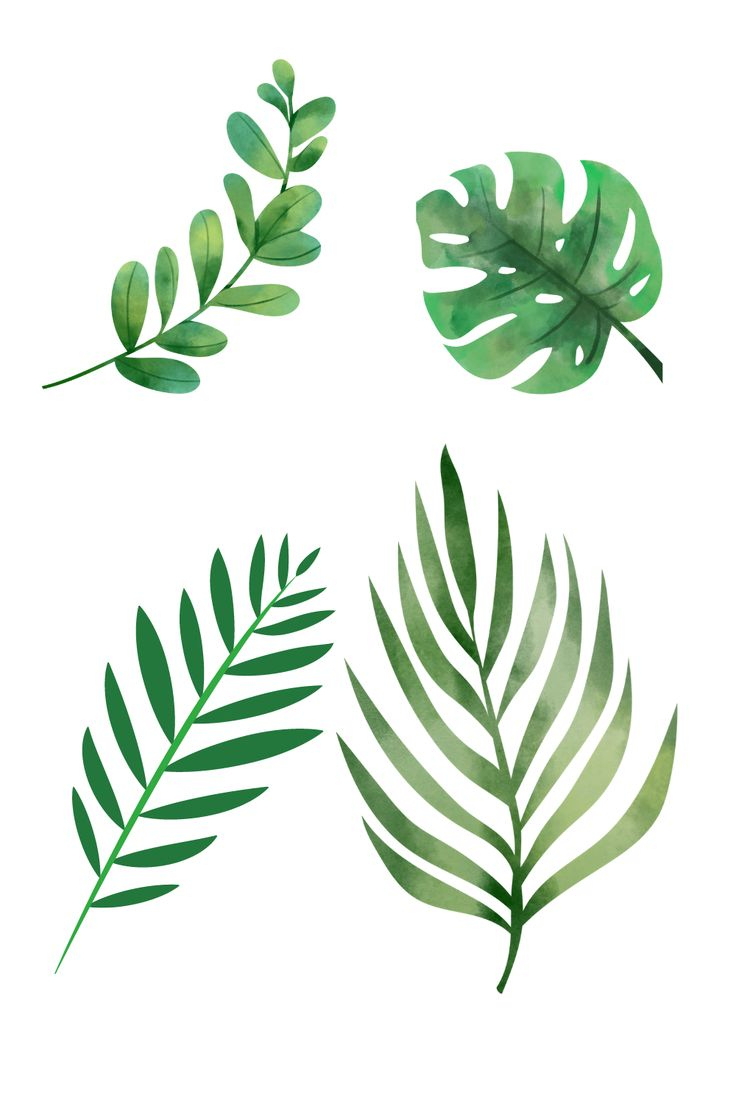 Free Green Leaf Printable Templets inside Free Printable Pictures Of Leaves
