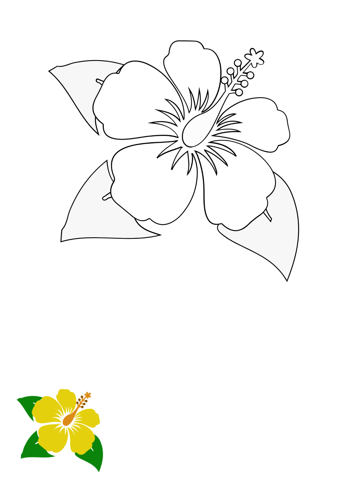 Free Hibiscus Flower Coloring Page Template To Edit Online intended for Free Printable Hibiscus Flower Stencils