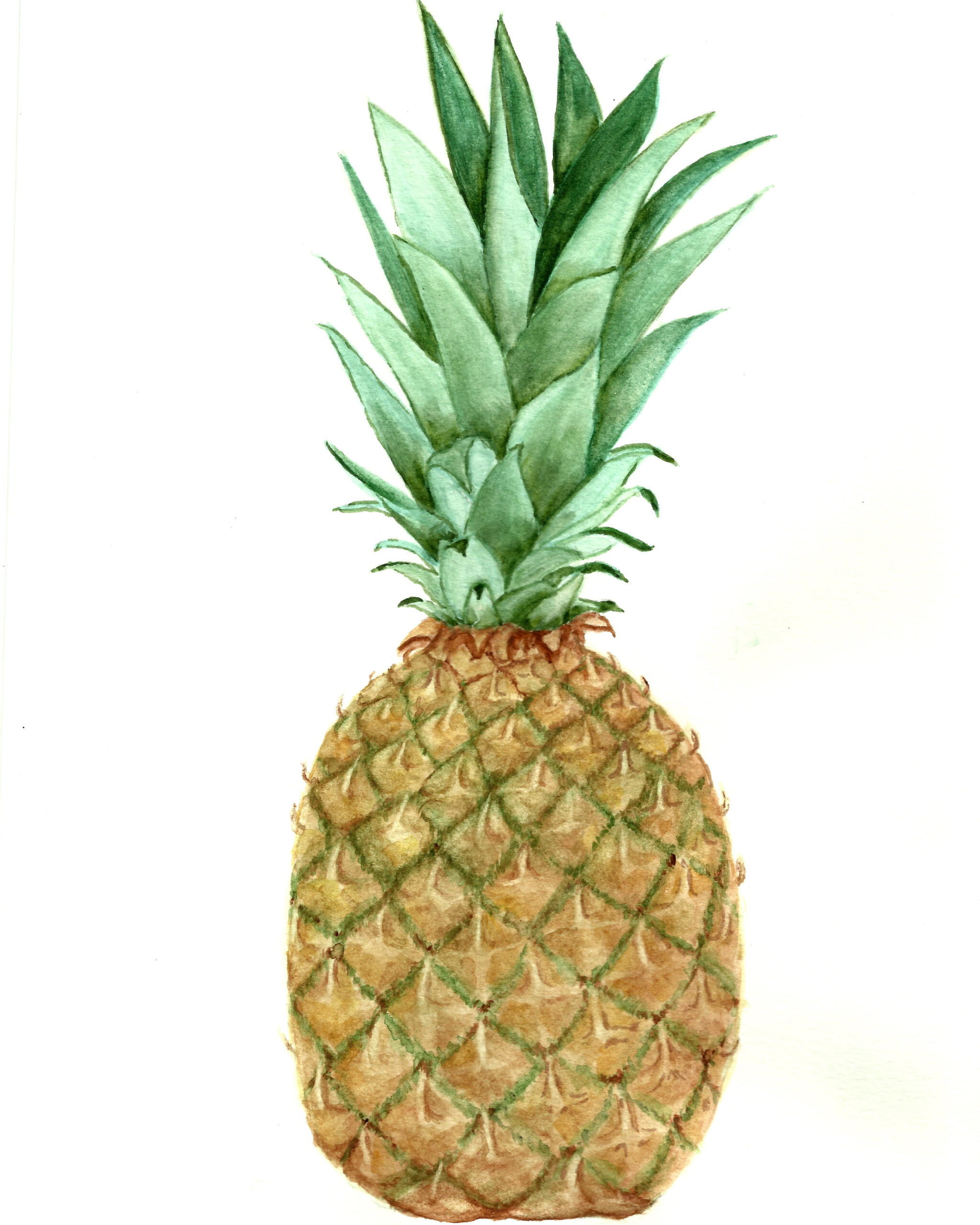 Free Pineapple Watercolor Printable with Free Printable Pineapple Pictures