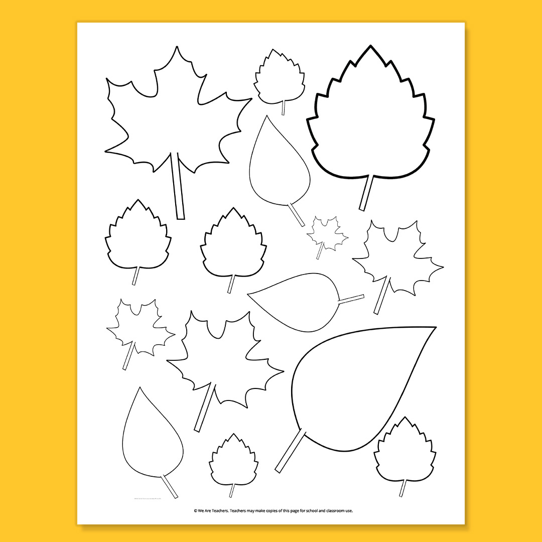 Free Printable Leaf Template Bundle For Fall regarding Free Printable Pictures Of Leaves
