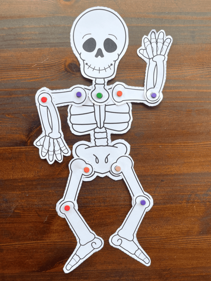 Free Printable Skeleton Template Cut Out