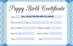 Instant Fillable Printable Pdf Puppy Birth Certificate (Blue-Male inside Free Printable Birth Certificates For Puppies