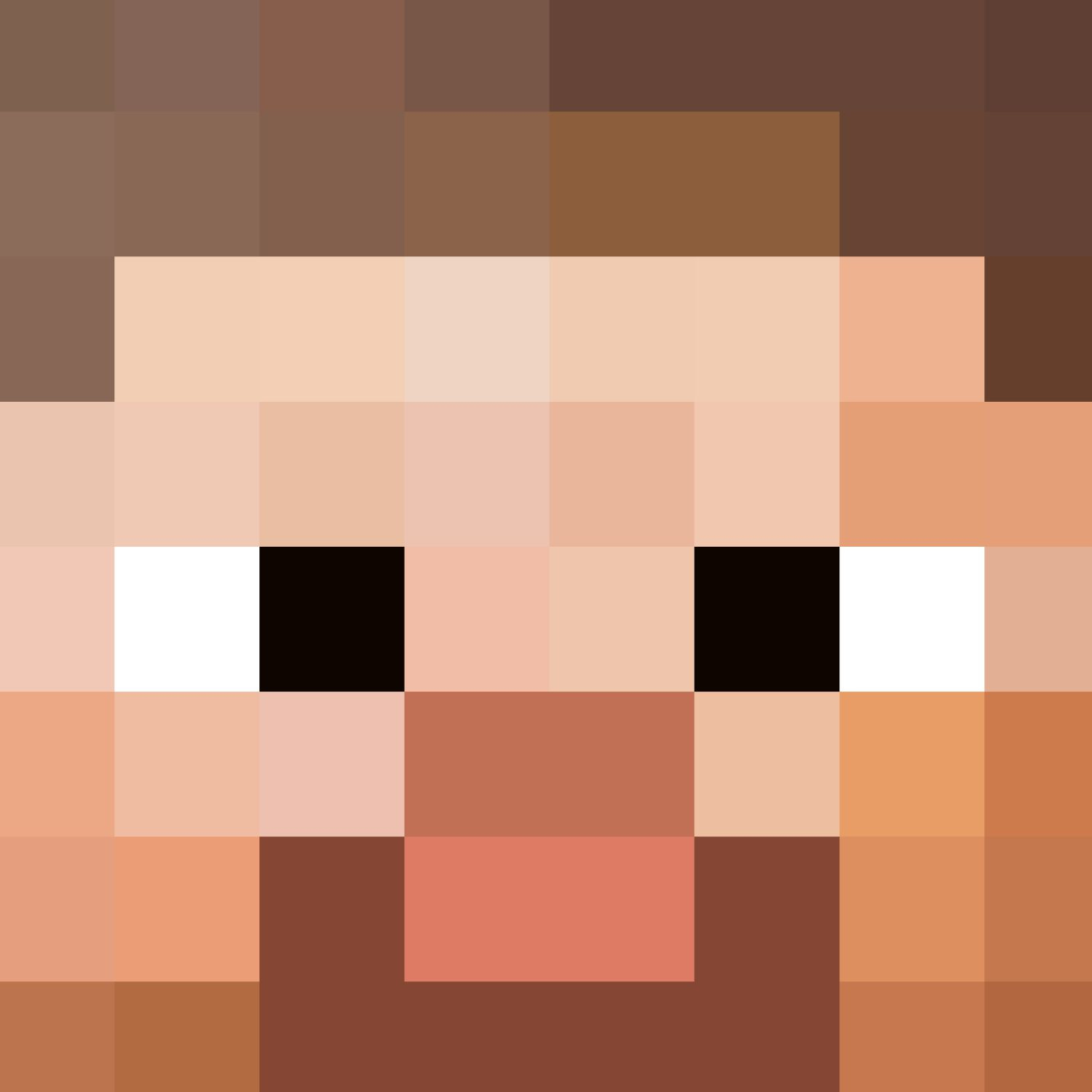 Minecraft Steve Head – Pattern Crew with Free Minecraft Steve Head Printable