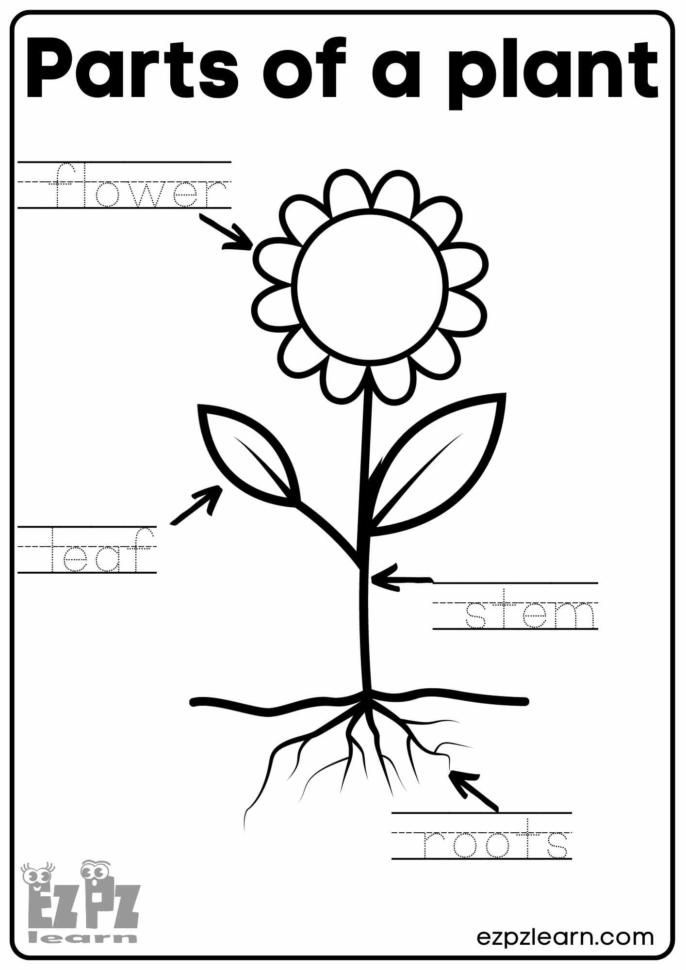 Parts Of A Plant Vocabulary Worksheet Write The Words And Color with regard to Free Plant Printables For Kindergarten
