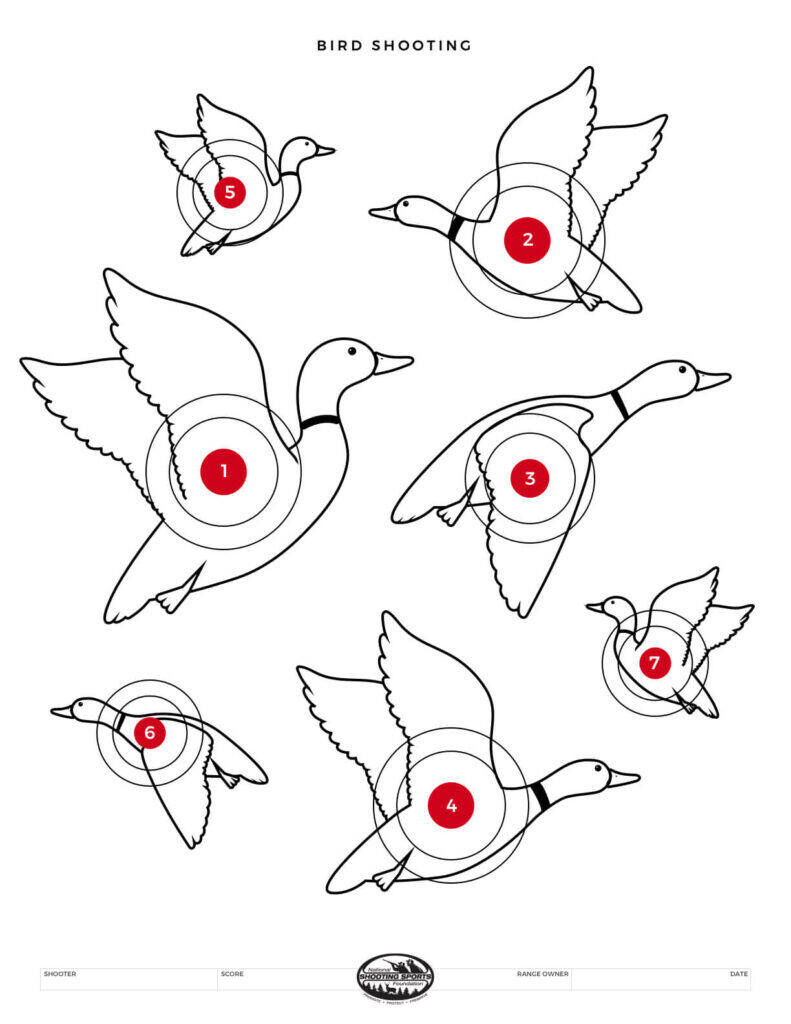 Printable Shooting Targets And Gun Targets • Nssf intended for Free Printable Rifle Sighting Targets